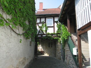 Wall Mural - Durchgang an der Stadtmauer von Freinsheim