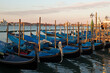 Venezia. Gondole al palo nel Bacino di San Marco