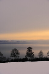 Wall Mural - A misty morning on the countryside, Toten, Norway, in spring.