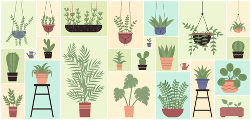 Cartoon different houseplants for home garden and interior decoration, hanging potted tropical plants in geometric collage background. Green plants in pots set for floral design vector illustration