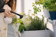 © Aleksandr - Close up of watering the plants from a watering can. Girls watering rosemary and other plants on balcony