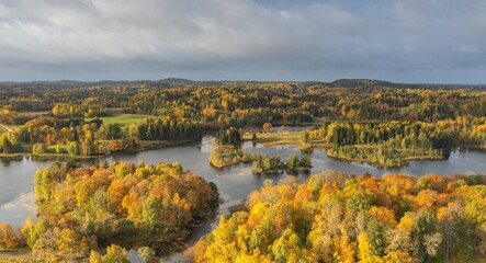 Poster - Aerial of the beautiful lake surrounded by the colorful forest on a gloomy autumn day in Estonia