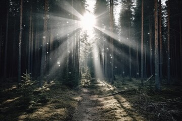 Wall Mural - Around dusk, Sporadic Sunlight Filters Through a Forest's Trees. Generative AI