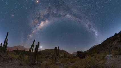 Wall Mural - Big wide desert with cactuses under the starry galaxy sky during the nighttime