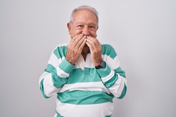 Wall Mural - Senior man with grey hair standing over white background laughing and embarrassed giggle covering mouth with hands, gossip and scandal concept