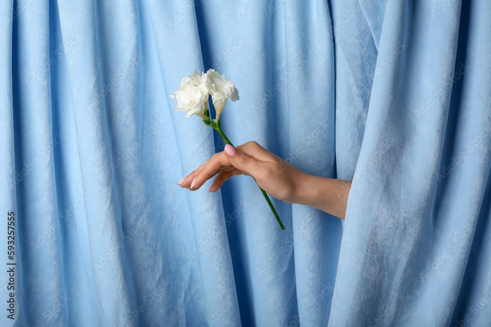 Woman with white flowers against blue fabric background. Hand care concept