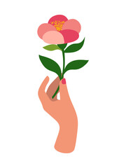 Canvas Print - Woman's hand with a beautiful delicate pink flower, raised up, isolated on white. Maiden power. The concept of feminism. The flowering of feminine energy. 