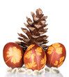 Easter eggs with pinecone on white background.