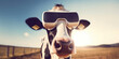cow wearing a virtual reality headset, generative AI