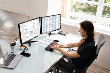 Aufkleber - accountant using e invoice software at computer