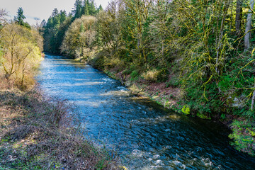 Wall Mural - Cedar River In Renton 5