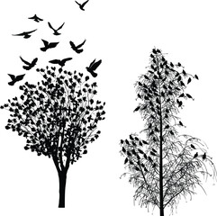 black birds and two trees isolated on white background