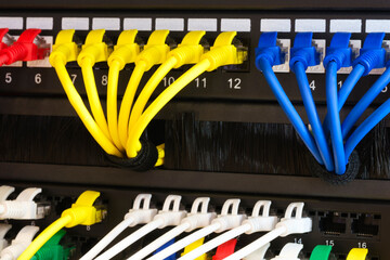 Poster - Multi Colored Network Cables Connected to Switch, network  technology concept