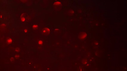 Wall Mural - red bokeh abstract motion background. defocused red circles abstract movement. shimmering bokeh ligh