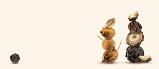 Peppercorn and Two stack spices of Organic dried black pepper seeds and coriander seeds on a beige background. Equilibrium floating food balance. Creative concept. Modern photo. Copy space. Banner