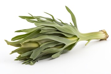 Canvas Print - close-up view of fresh broccoli on a plain white background. Generative AI