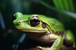 vibrant green frog with a distinct black eye in close up detail. Generative AI