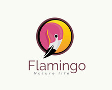 Circle Head Flamingo Logo Template Illustration Inspiration