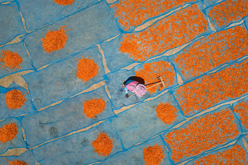 Wall Mural - aerial view of fisherman working during drying shrimp process