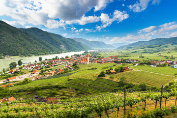 Wall Mural - Scenic spring view to Wachau valley with the river Danube and town Weissenkirchen. Austria.