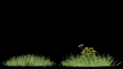 Aufkleber - grass field footage with wind plant animation transparent background design, 3d illustration rendering