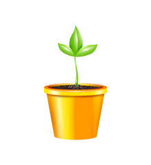 Sticker - Realistic Seedling Illustration