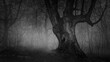 Grayscale of a beautiful dry tree in a deep forest