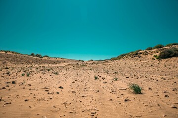 Sticker - Beautiful view of a desert under the clear sky during sunrise