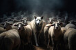Wolf in sheep's clothing in the middle of herd of sheeps. Ai generated illustration	