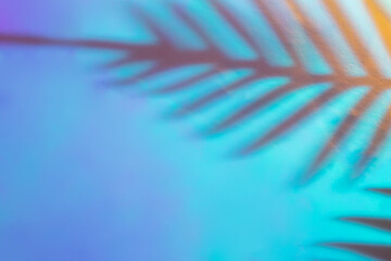 Wall Mural - Neon vibe floral background. Dark palm tree leaves shadows. Futuristic close-up texture. Creative fluorescent color layout made of tropical leaves. Flat lay neon colors. Summer vacation concept.