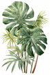 Tropical plant leaves. Generative AI illustration
