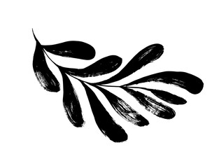 abstract matisse and naive style of leaves. brush drawn organic frond, tropical or exotic branch iso