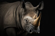 Close-up portrait of a rhino on black background.