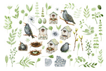 Family Of Starlings, Bird In A Birdhouse, Nest With Eggs, Elements With Spring Greenery, Twigs, Leaves And Flowers. Hand Drawn Watercolor Illustration Isolated On White Background