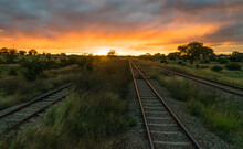 Train Tracks Into The Distance, African Sunset Train Journey.