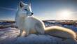 © happy Wu  - 北極狐 |  Arctic fox Generative AI