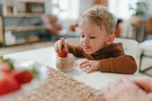 Little Boy Eating Homegrown Strawberries With Brown Sugar.