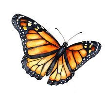 Watercolor Monarch Butterfly. Generative Ai