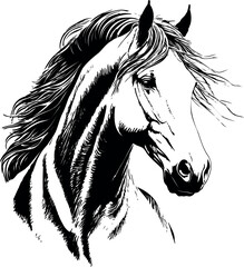 vector drawing of a horse with black lining on white background