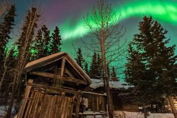 incredible northern lights, aurora borealis seen over the landscape of carcross in yukon territory, 
