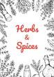 © Kseniia - Herbs and spices vertical design. Hand draw background with cooking ingredients in sketch style. Detailed vector illustration