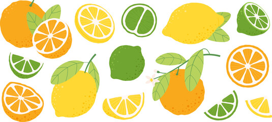 Poster - Oranges lemons fruits, lemon slice and half. Orange blossom branch, fresh fruit for juice and vitamin diet. Lime nature raw, racy vector clipart