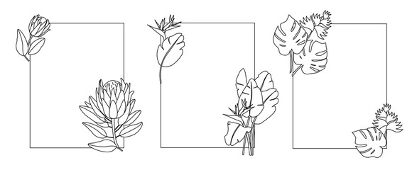 Frame with tropic flowers. Flowers branch isolated on a white background. Set of three rectangle frame with tropic flowers. Line art.	