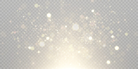 Poster - Light effect with lots of glittery highlights shining on transparent background for christmas new year design. And illustrations.