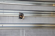 © Rene de Haan/Stocksy - conveyer belt with person
