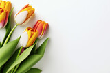 Fototapeta Perspektywa 3d - Spring tulip flowers on white background. Frame for Mothers day, International Womens Day, 8 March, Valentines Day, birthday, wedding background. Colorful flower invitation. AI generative