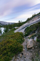 Wall Mural - Vertical shot of a walking trail alongside Echo Lake at sunset, in California, United States