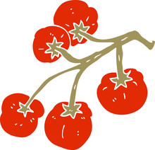 Cartoon Doodle Tomatoes On Vine