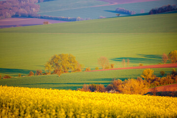 Sticker - Evening sunlight on the fields and cultivated land. South Moravia region, Czech Republic, Europe.