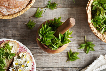 Wall Mural - Fresh goutweed or ground elder leaves in a wooden mortar, top view